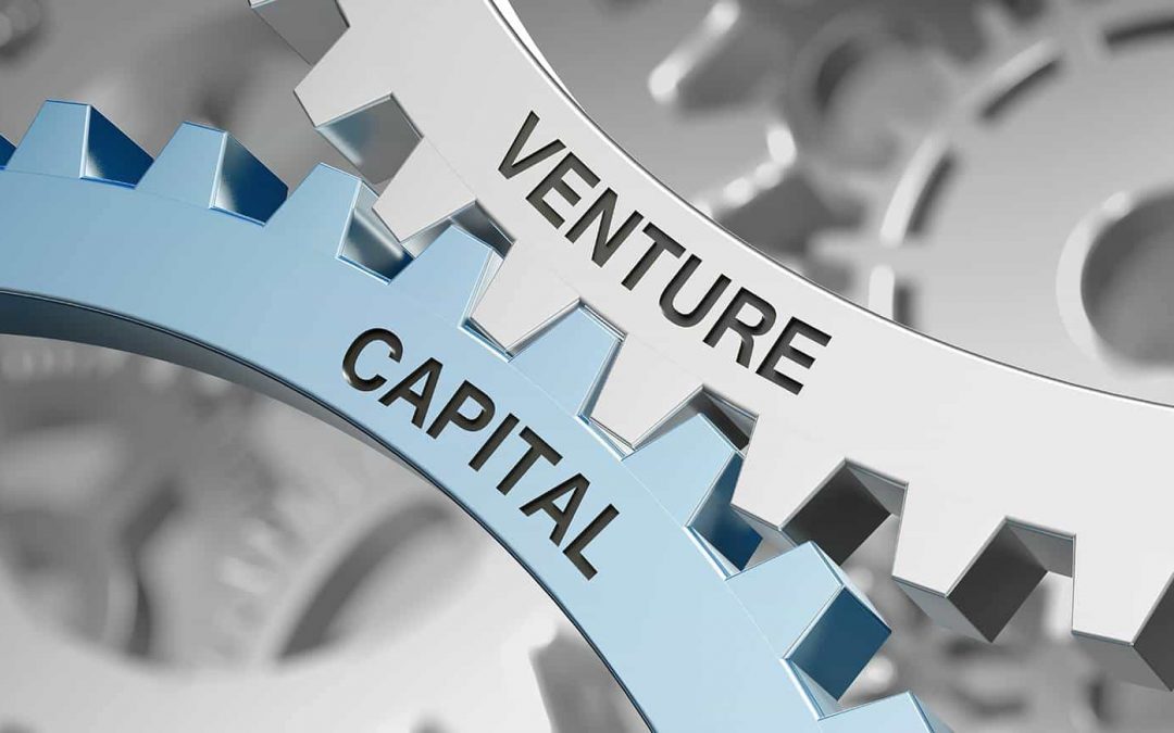 Venture Capital Scopri Tutte le Informazioni ed i Consigli