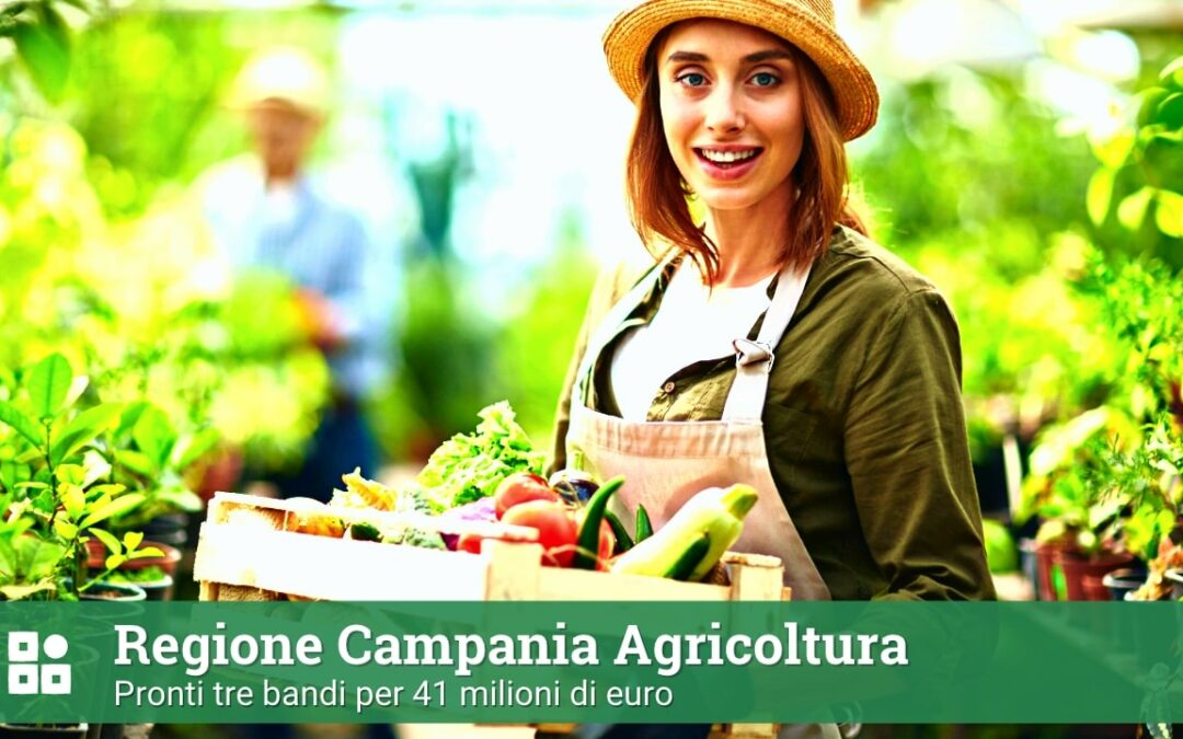 Regione Campania Agricoltura pronti tre bandi per 41 milioni di euro