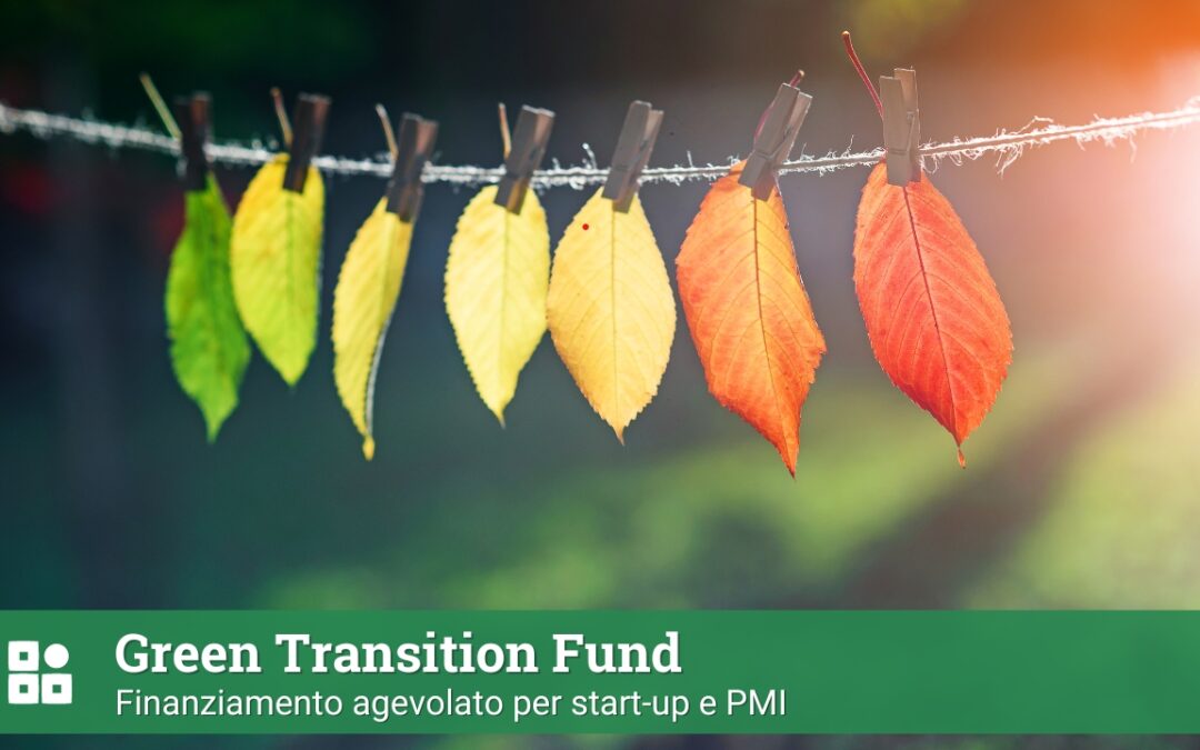 Green Transition Fund: finanziamento agevolato per start-up e PMI