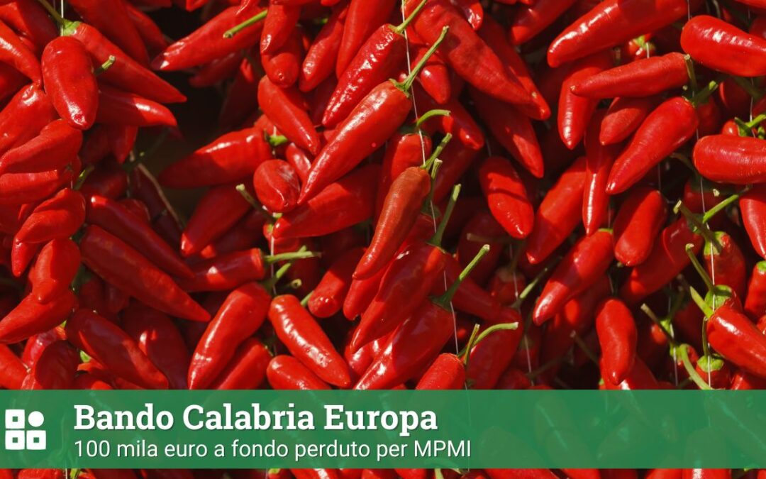 Bando Calabria Europa: 100 mila euro a fondo perduto per MPMI
