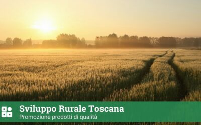 Sviluppo rurale Toscana: promozione prodotti di qualità