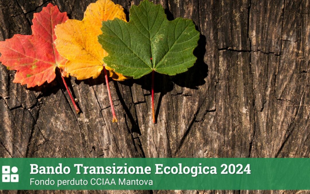 Bando Transizione Ecologica 2024: fondo perduto CCIAA Mantova